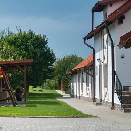 Magda Garden Hotel Cîrţişoara Buitenkant foto