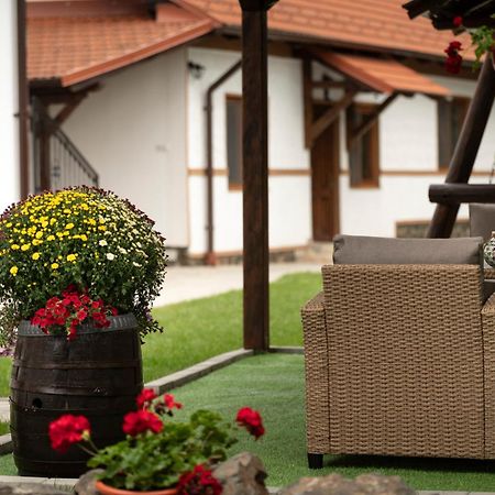Magda Garden Hotel Cîrţişoara Buitenkant foto