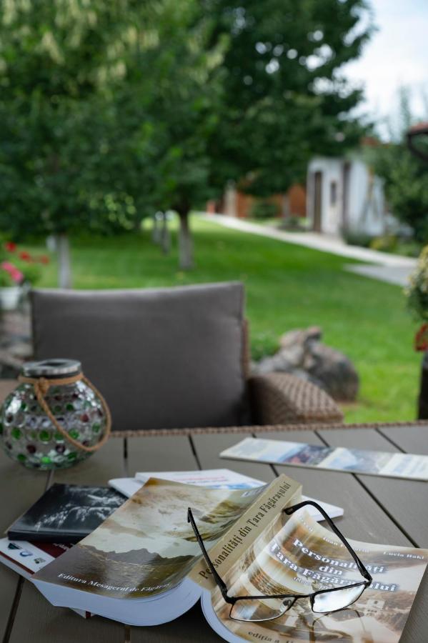Magda Garden Hotel Cîrţişoara Buitenkant foto
