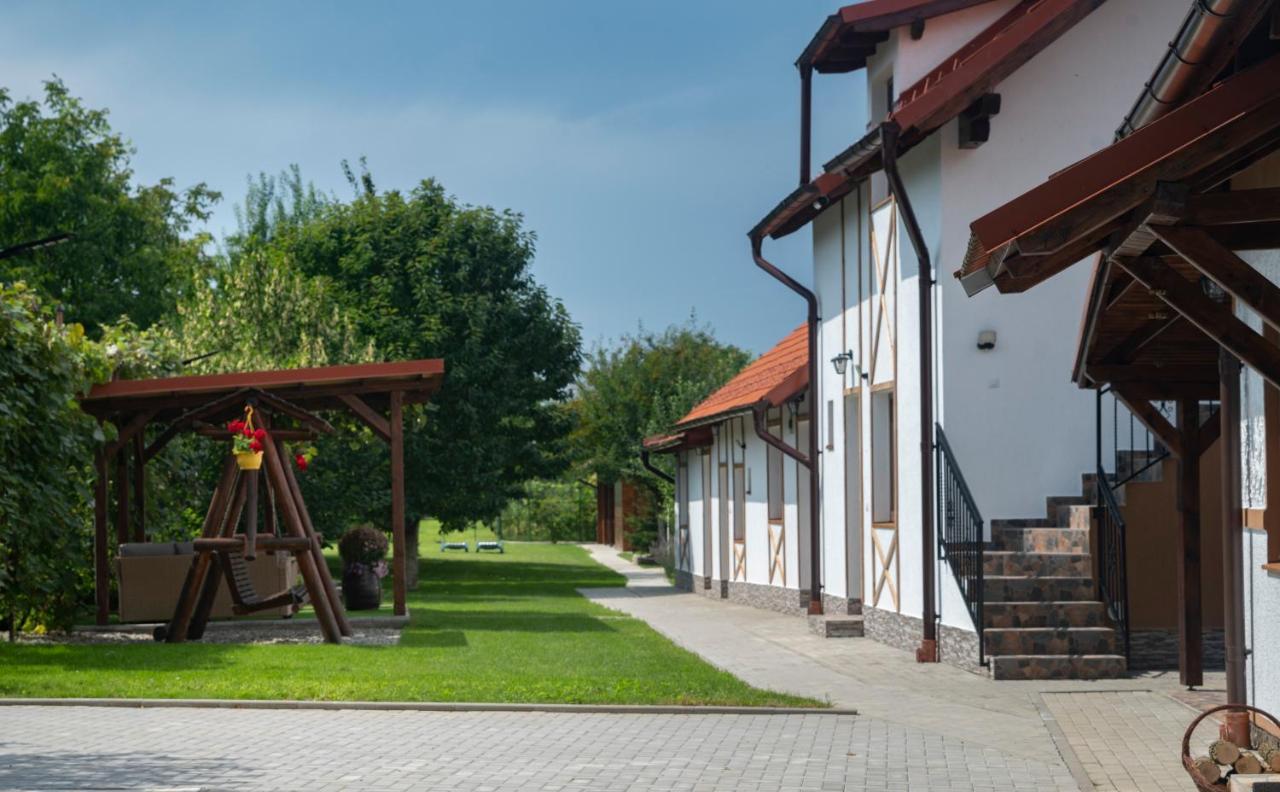 Magda Garden Hotel Cîrţişoara Buitenkant foto