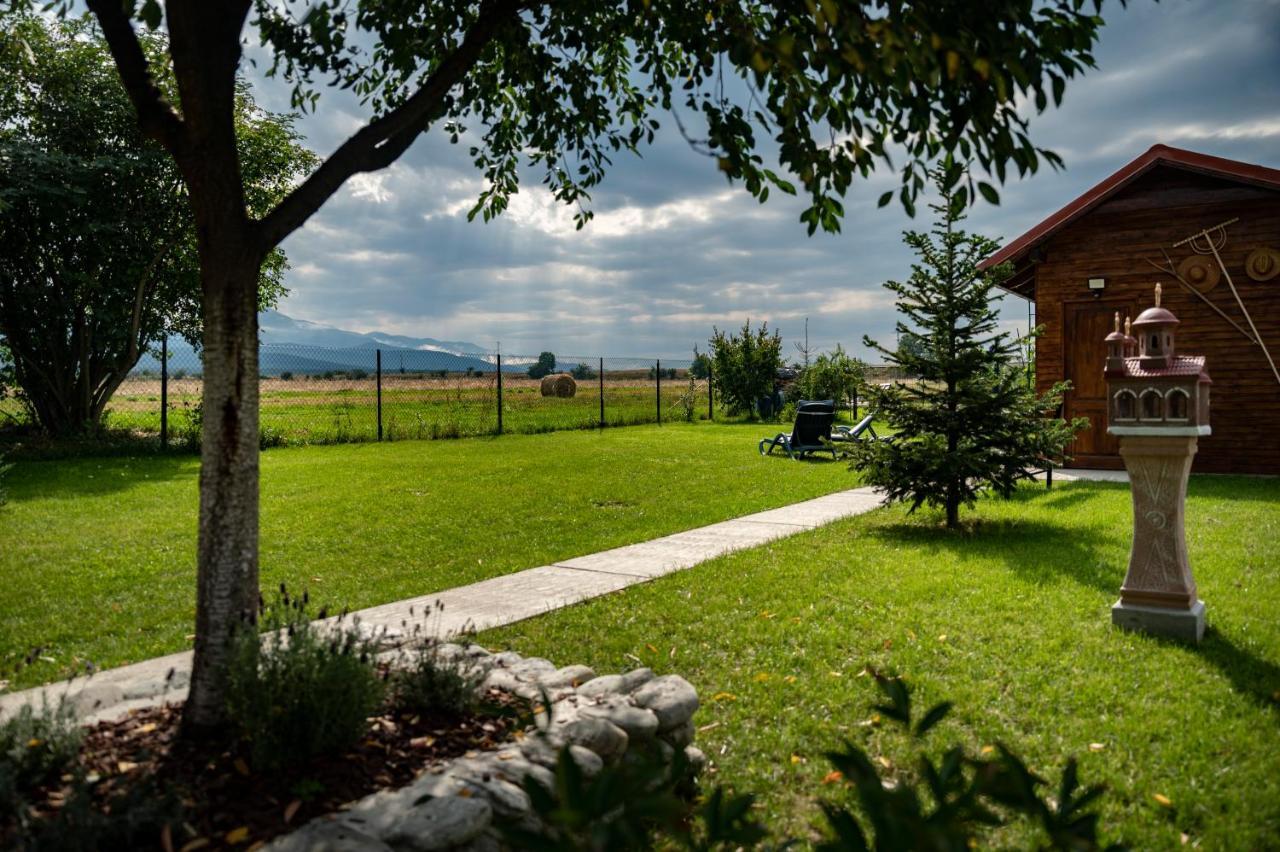 Magda Garden Hotel Cîrţişoara Buitenkant foto