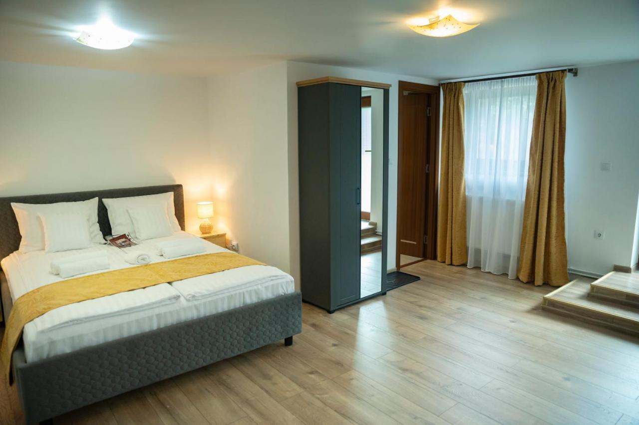 Magda Garden Hotel Cîrţişoara Buitenkant foto