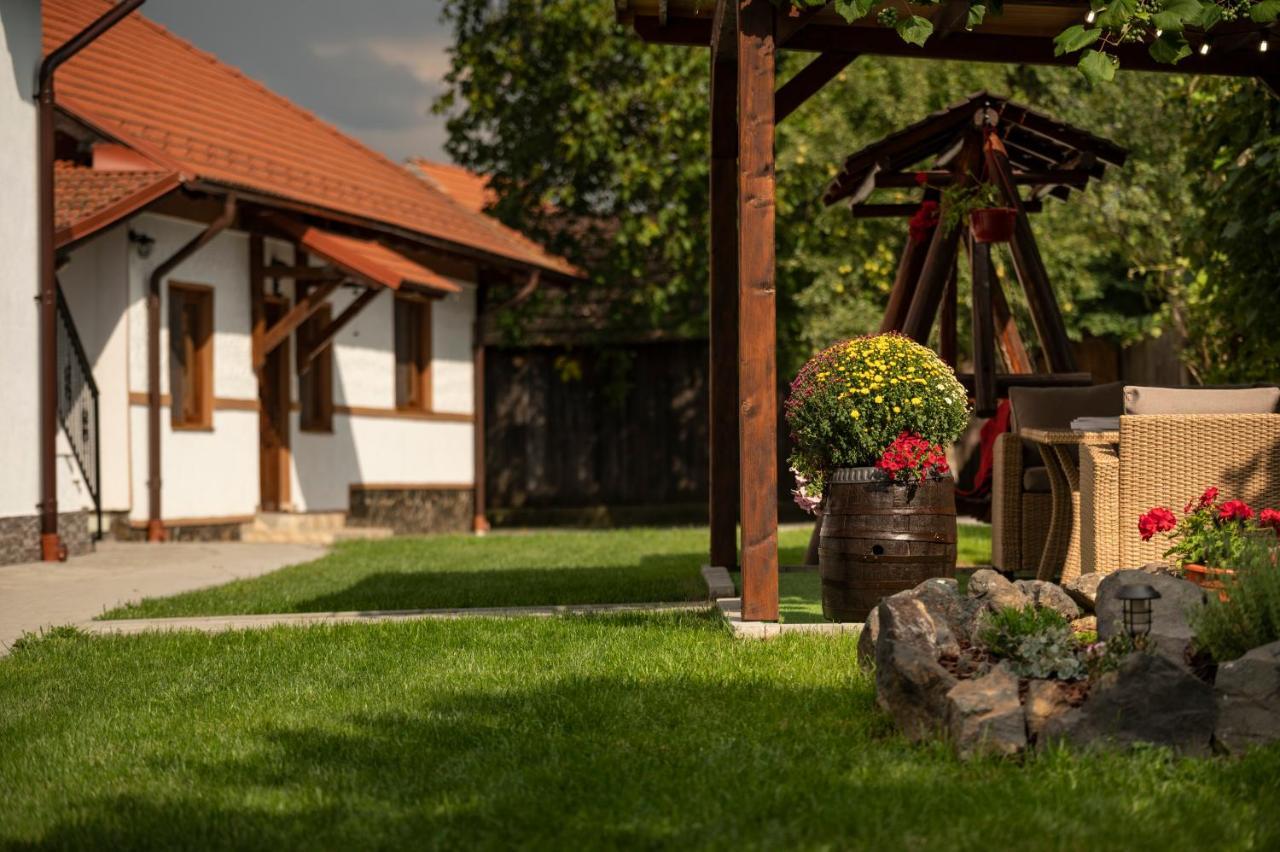 Magda Garden Hotel Cîrţişoara Buitenkant foto