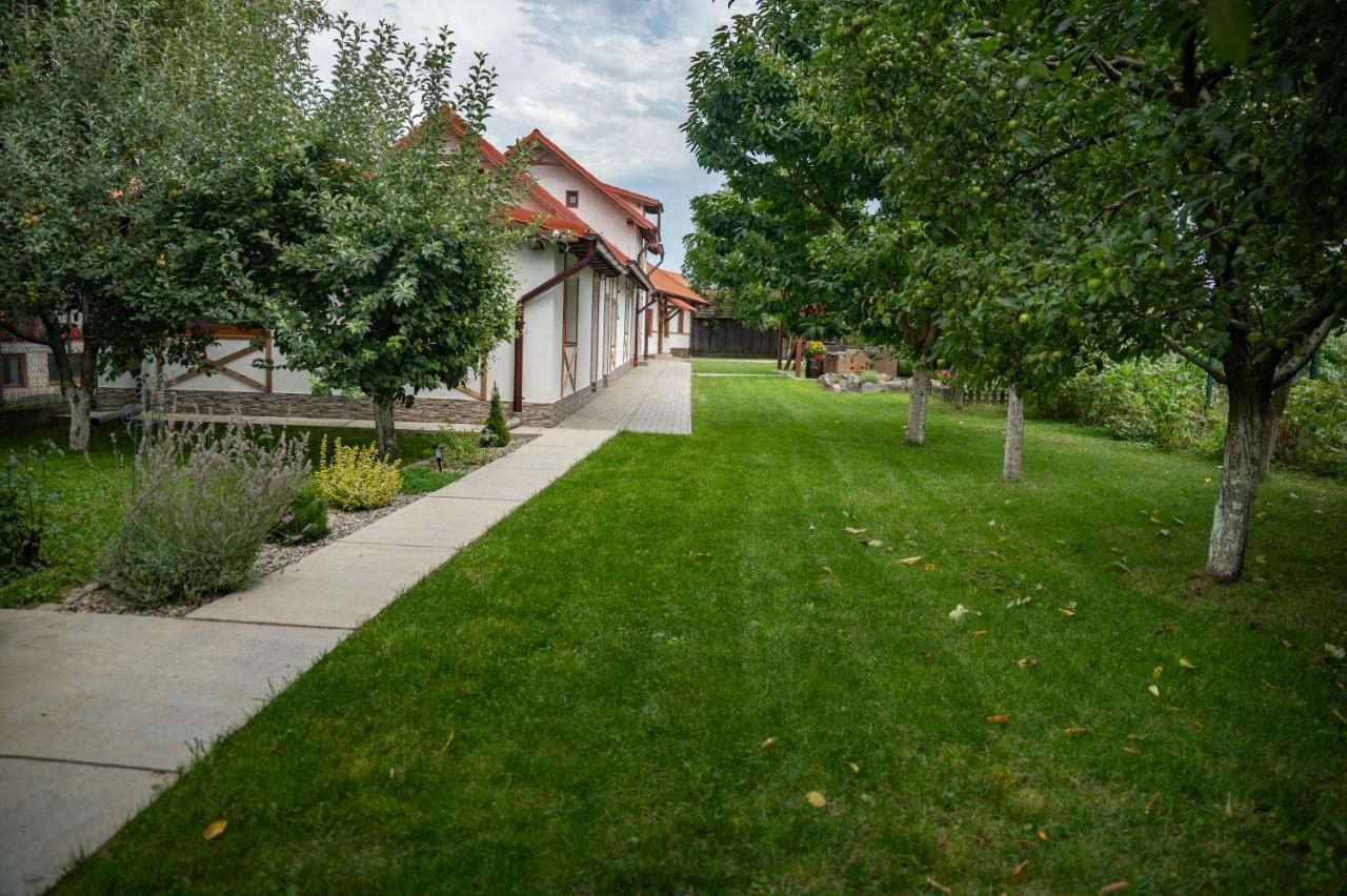 Magda Garden Hotel Cîrţişoara Buitenkant foto