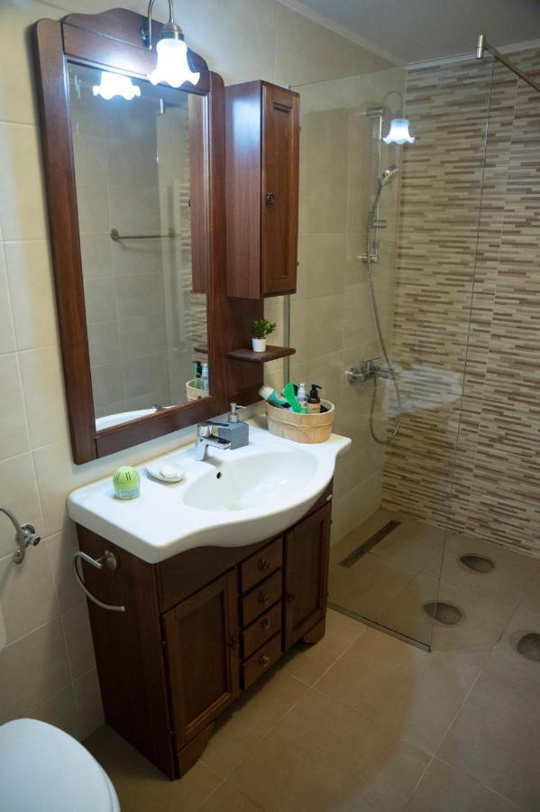 Magda Garden Hotel Cîrţişoara Buitenkant foto