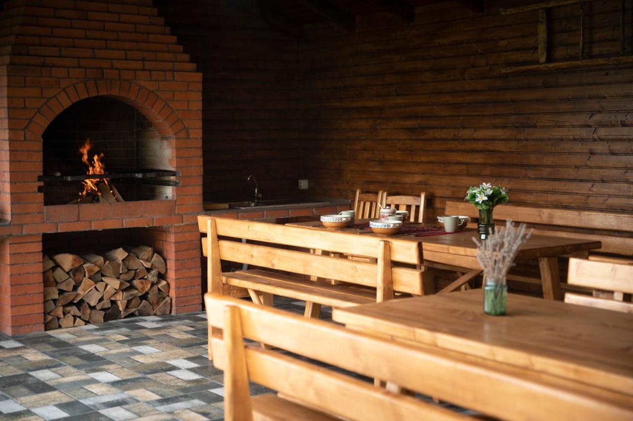 Magda Garden Hotel Cîrţişoara Buitenkant foto