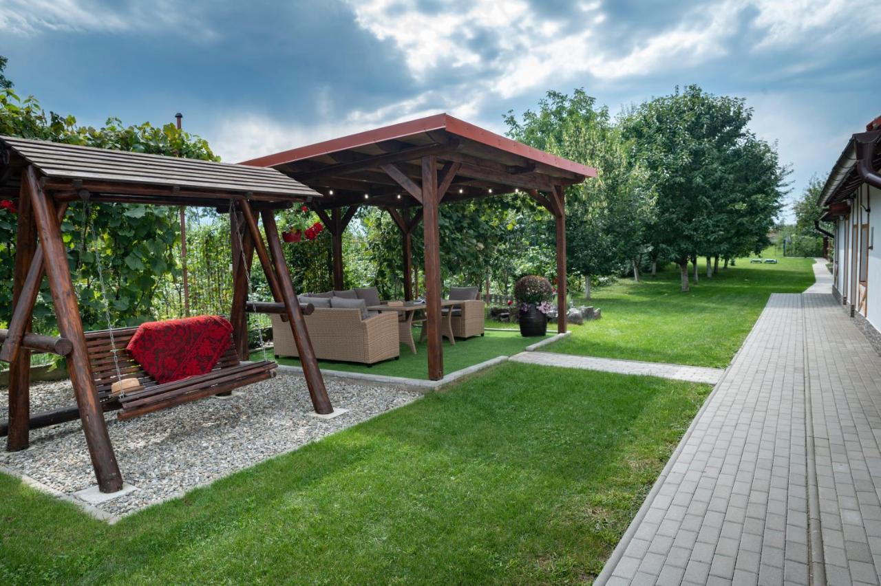 Magda Garden Hotel Cîrţişoara Buitenkant foto