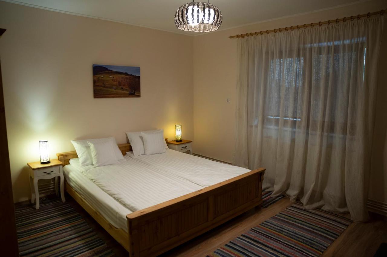 Magda Garden Hotel Cîrţişoara Buitenkant foto