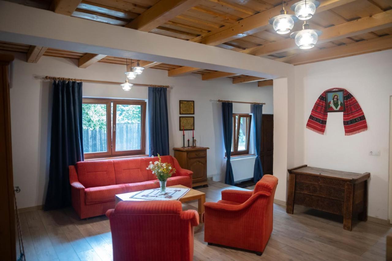 Magda Garden Hotel Cîrţişoara Buitenkant foto