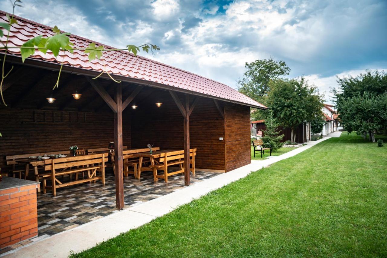 Magda Garden Hotel Cîrţişoara Buitenkant foto