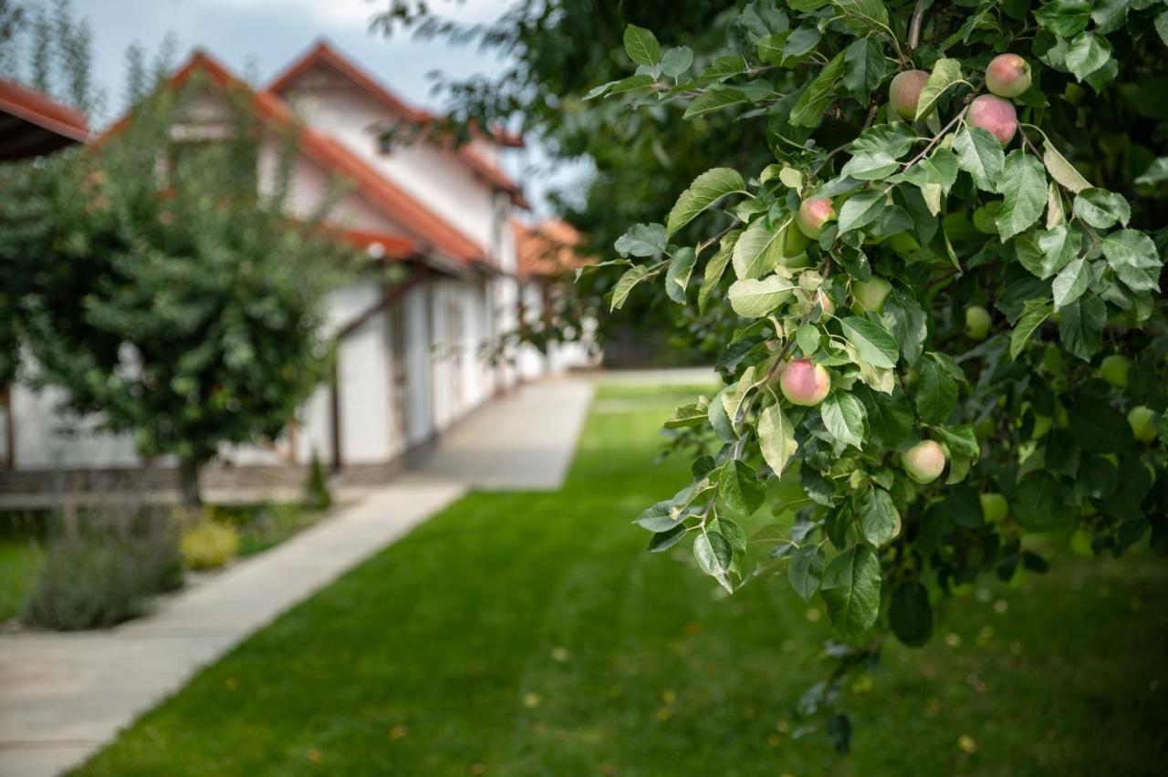 Magda Garden Hotel Cîrţişoara Buitenkant foto
