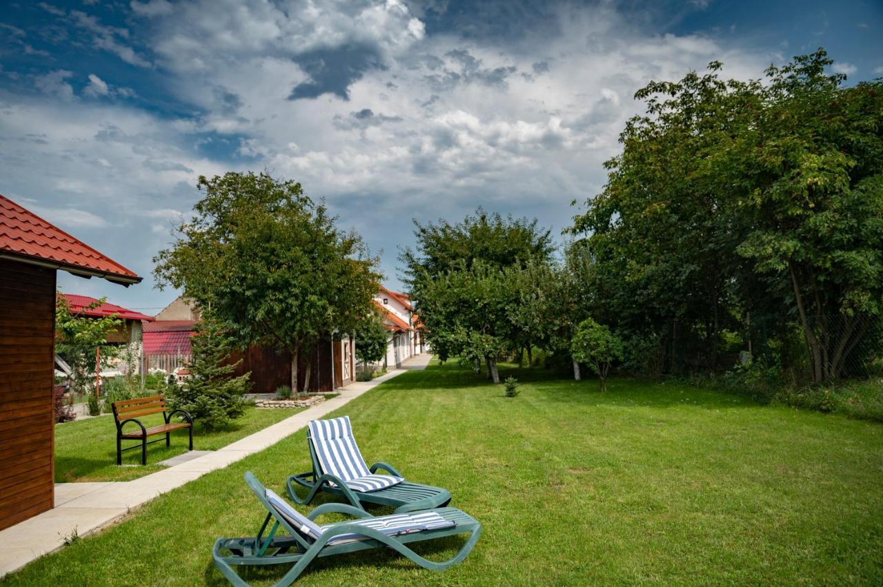 Magda Garden Hotel Cîrţişoara Buitenkant foto