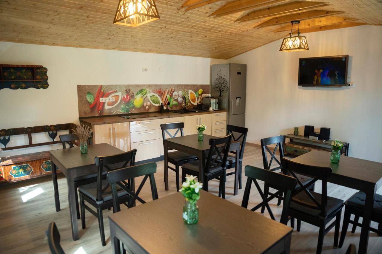 Magda Garden Hotel Cîrţişoara Buitenkant foto