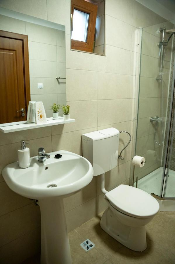 Magda Garden Hotel Cîrţişoara Buitenkant foto