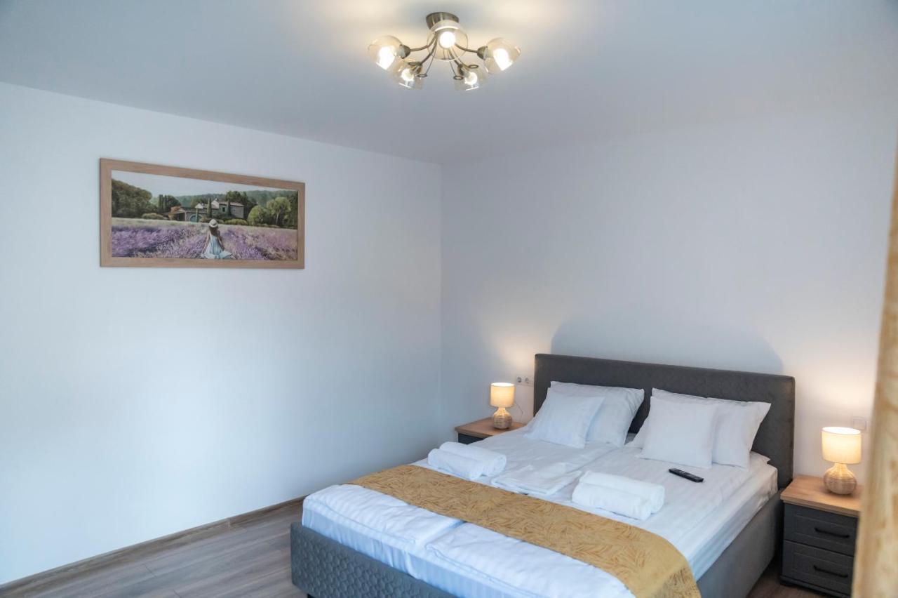 Magda Garden Hotel Cîrţişoara Buitenkant foto