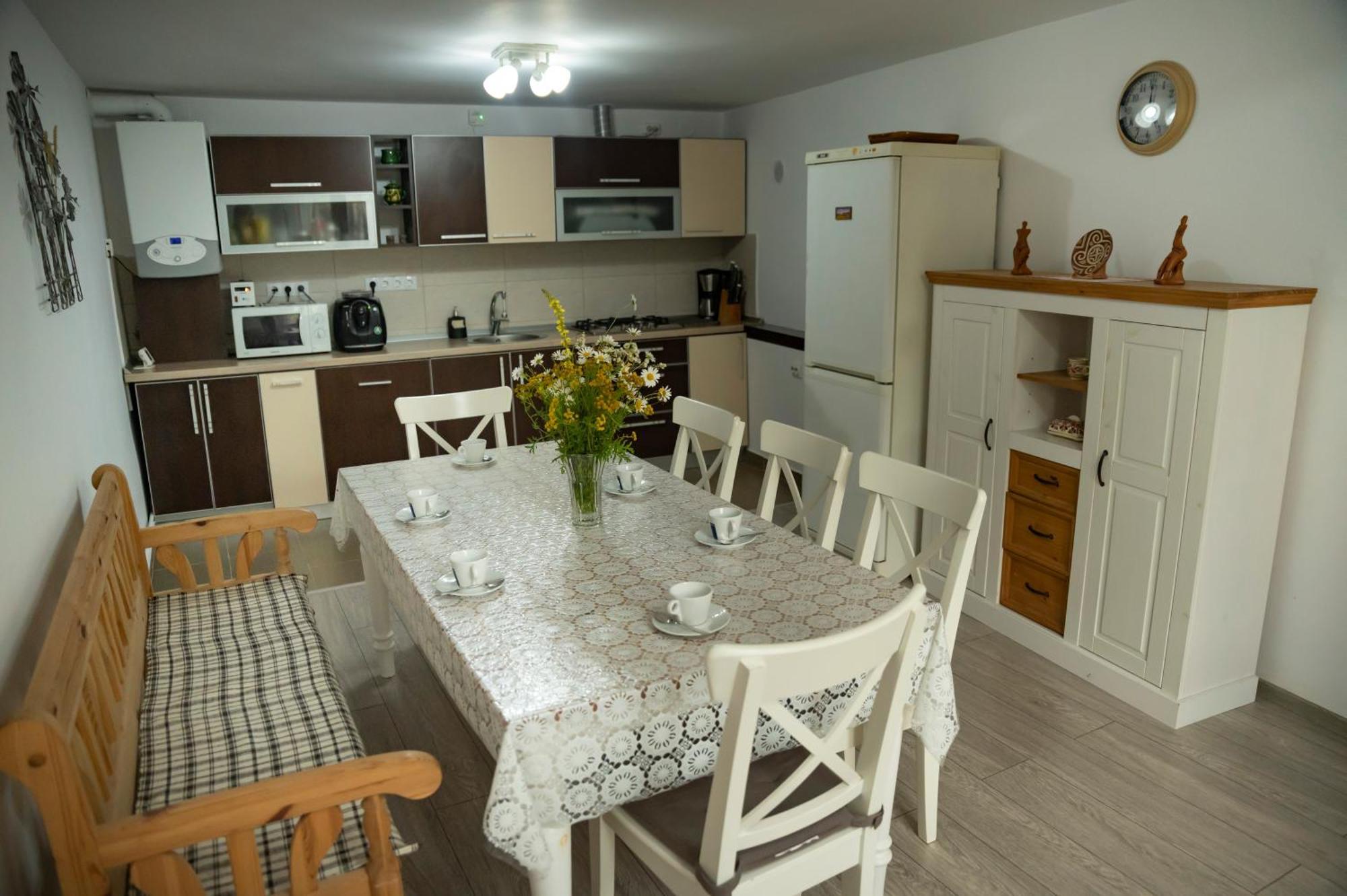 Magda Garden Hotel Cîrţişoara Buitenkant foto