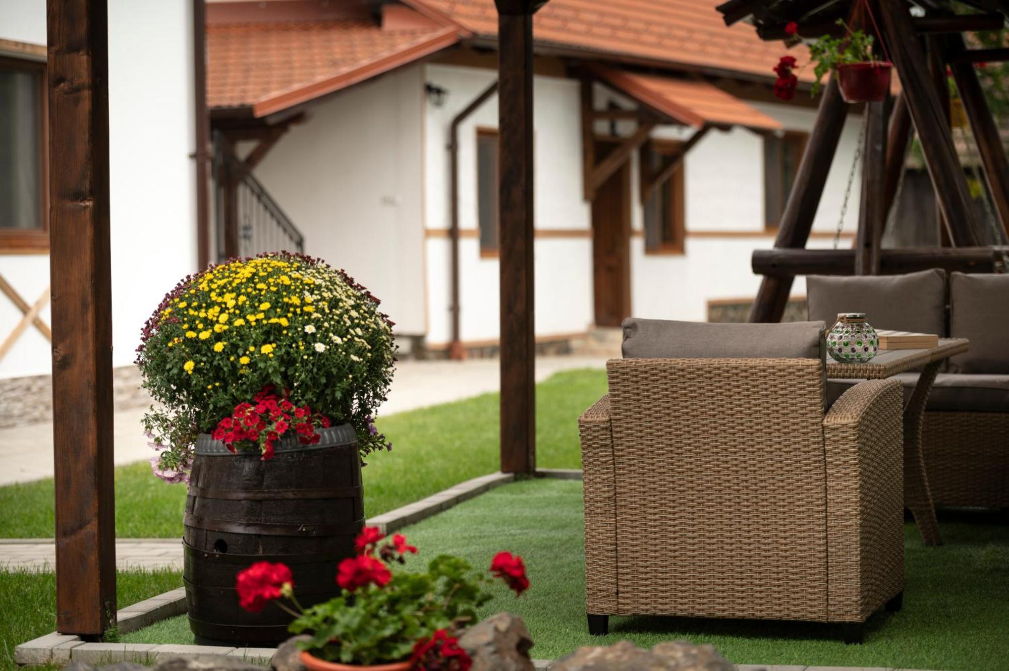 Magda Garden Hotel Cîrţişoara Buitenkant foto