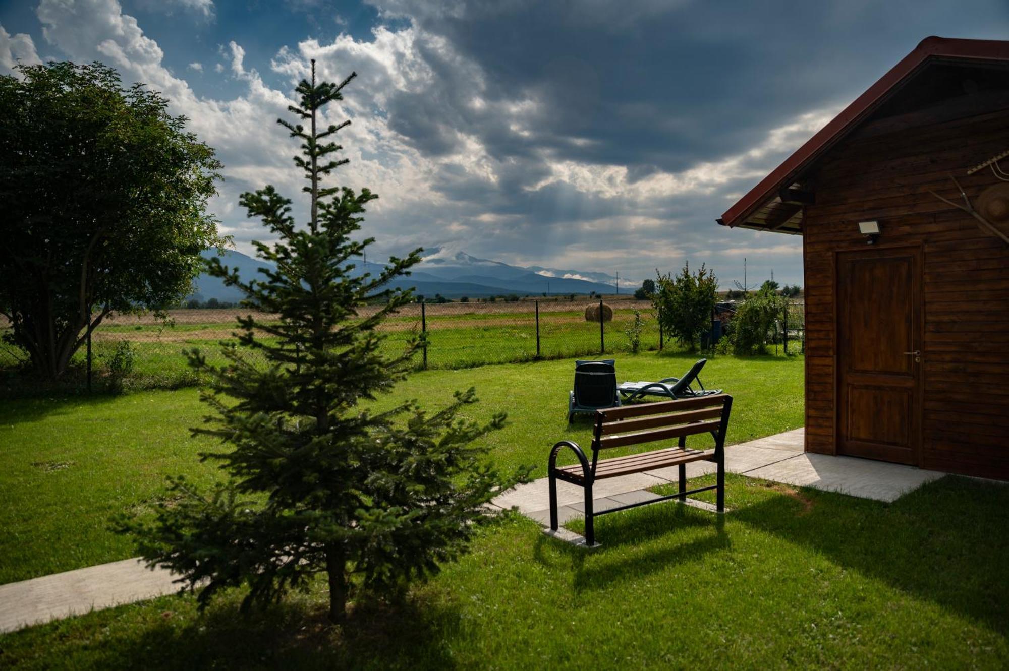 Magda Garden Hotel Cîrţişoara Buitenkant foto