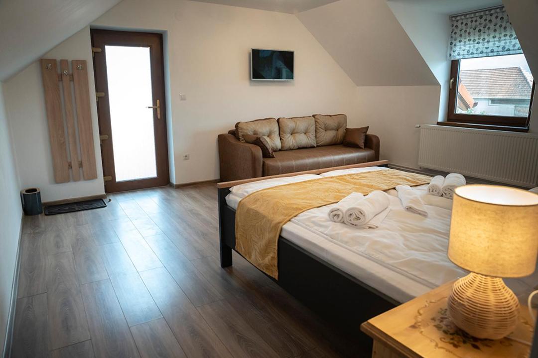 Magda Garden Hotel Cîrţişoara Buitenkant foto